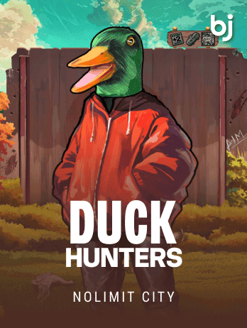 Duck Hunterspng game cover